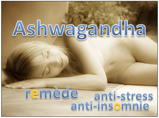Ashwagandha – remède contre le stress et l’insomnie