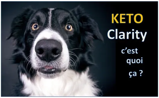 Keto Clarity : expérimentation du régime cétogène [livre]